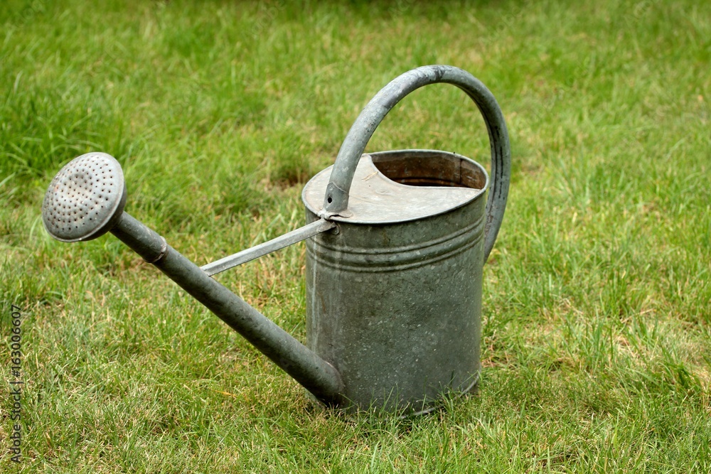 Old metal watering can on the lawn Old metal watering can on the lawn