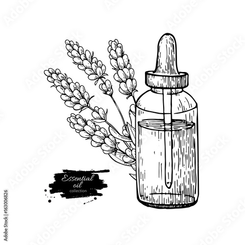Lavander essential oil bottle and bunch of flowers hand drawn vector illustration. Isolated drawing for Aromatherapy treatment,