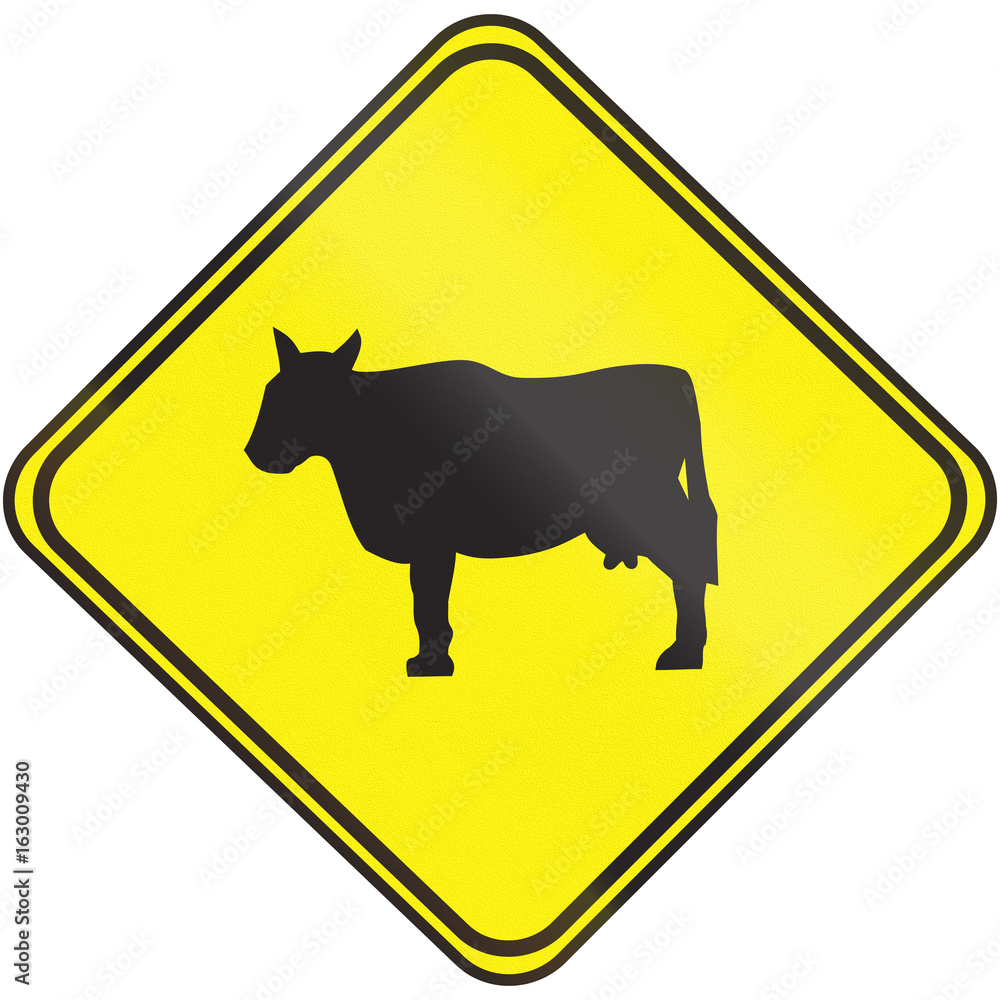 Road sign used in Uruguay - Cattle Crossing Road sign used in Uruguay - Cattle Crossing