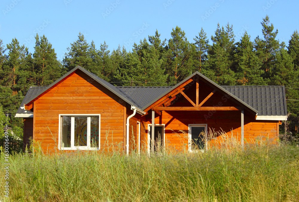 Fototapeta premium Ecological Small wooden house. Wooden house with meadow in front of it. Beautiful modern wooden house. 