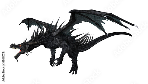 3D Rendering Black Dragon on White © photosvac