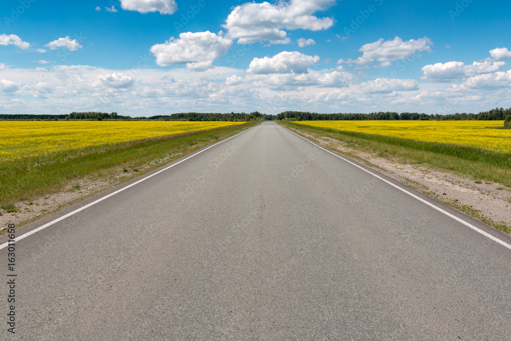 road flowering fields under the blue sky road flowering fields under the blue sky