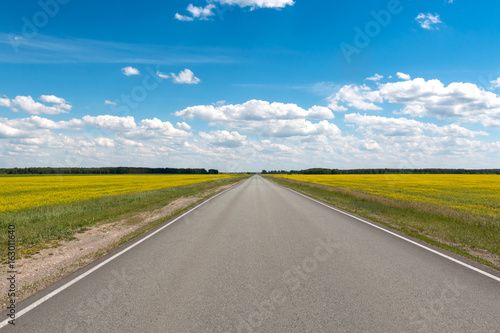 road  flowering fields under the blue sky