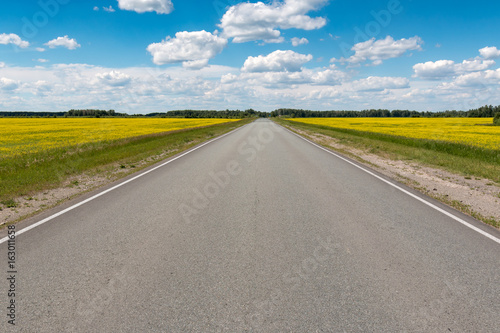 road  flowering fields under the blue sky