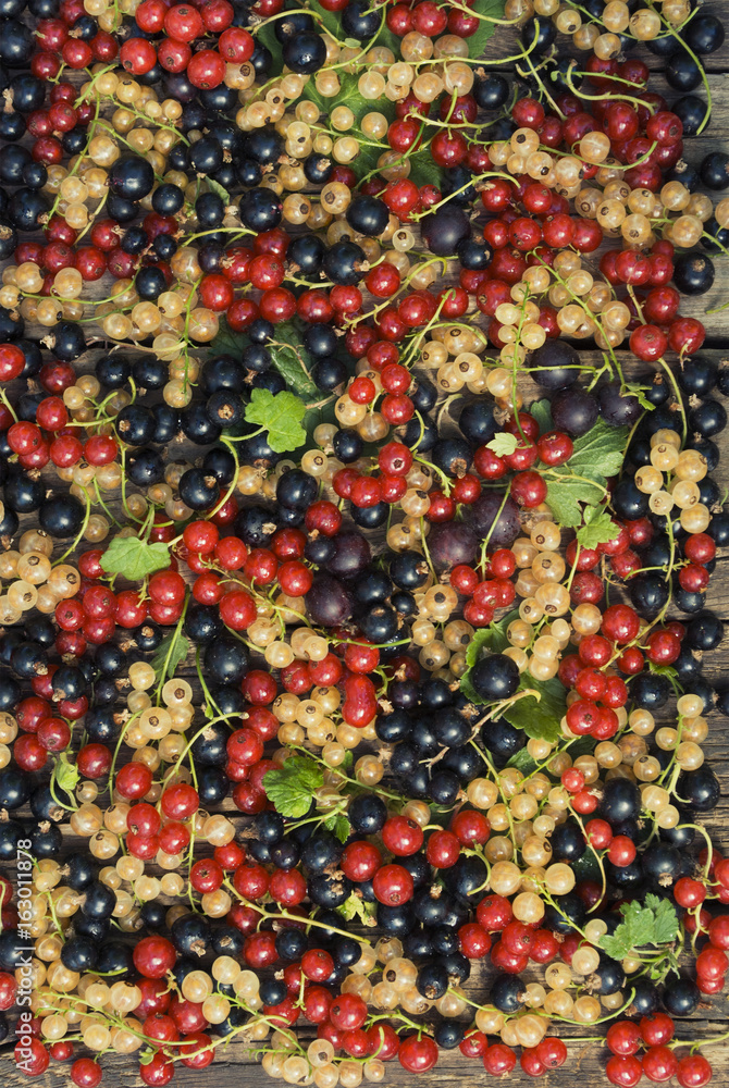 Black, red and white currant berries with green leaves on a wooden background.