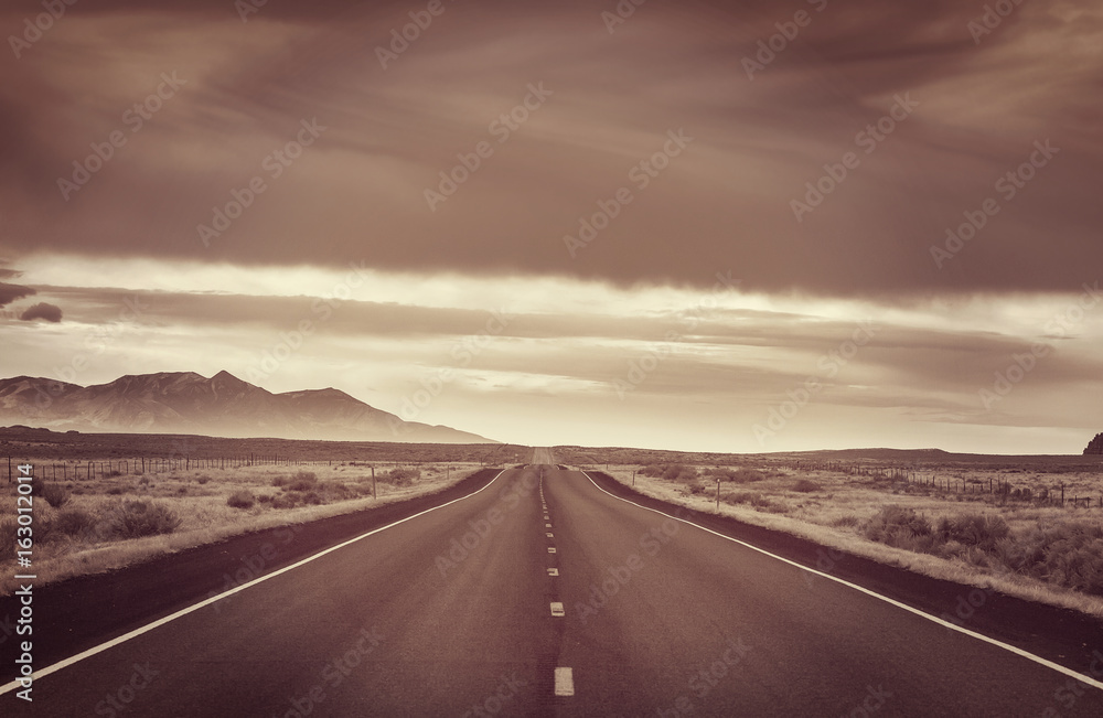 Naklejka premium Road in prairie