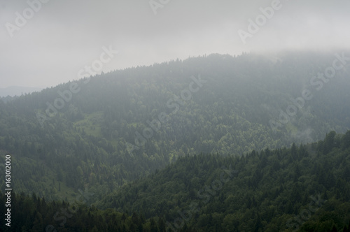 Forest in Fog - mountain in Poland   © Maciej Sobczak