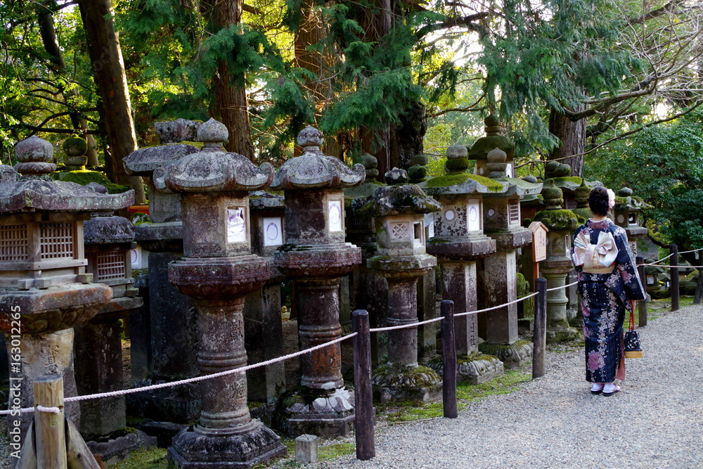 japanese girl wearing kimono and standing near the stone lanters in the shinto shrine in japan