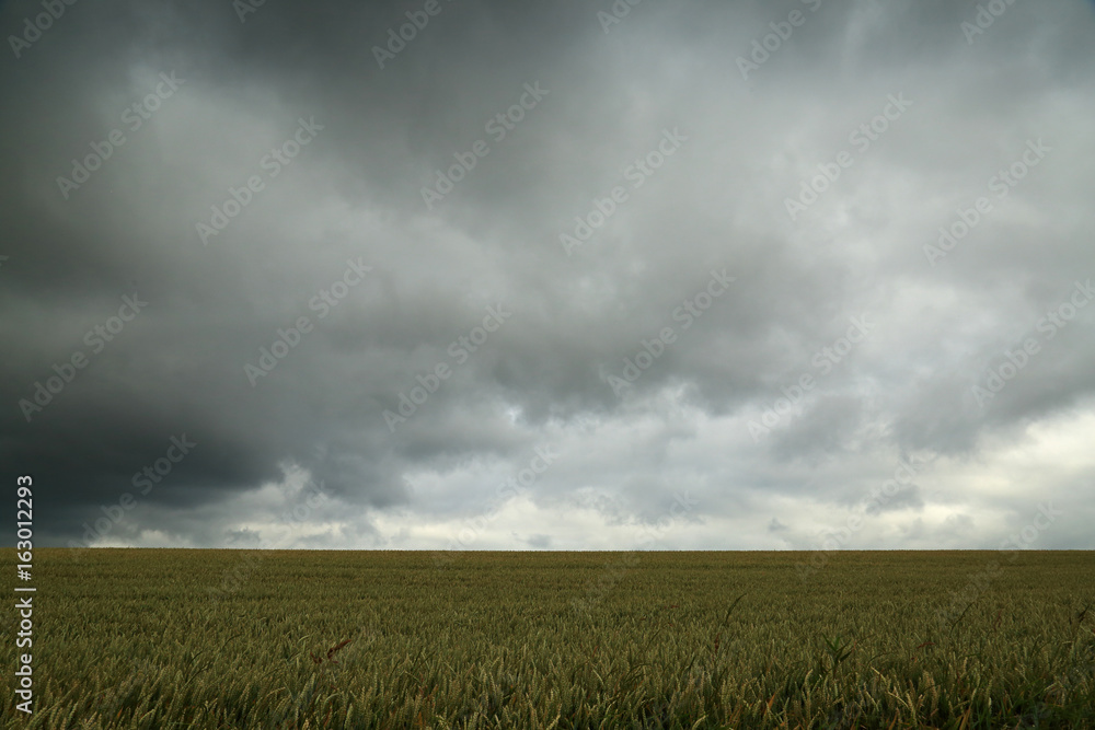 Dark clouds over the field