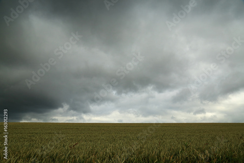 Dark clouds over the field