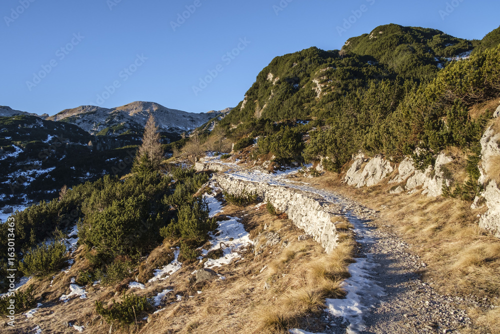 Footpath in the Komna mountain range, Julian Alps.