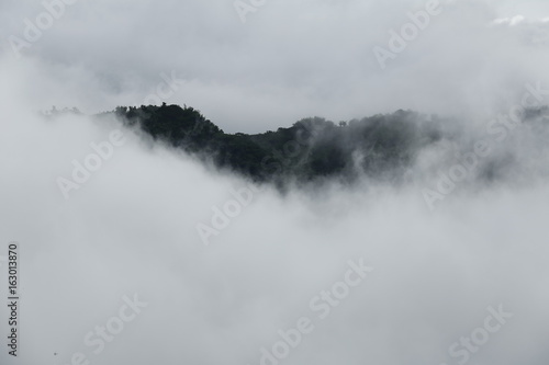 Mountain and Fog in Phetchabun Province  Thailand.