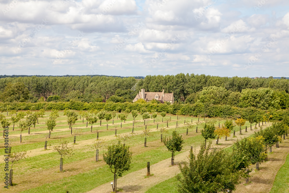 English country manor house orchard landscape. Countryside image of fruit trees and a rural farmhouse.