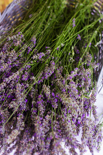 cutted lavender flowers close-up