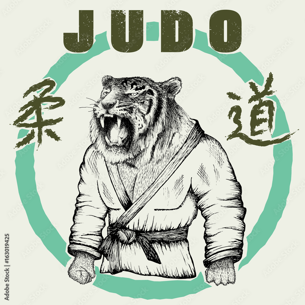 Φωτογραφία Judoka tiger dressed in kimono