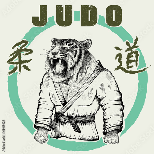 Judoka tiger dressed in kimono