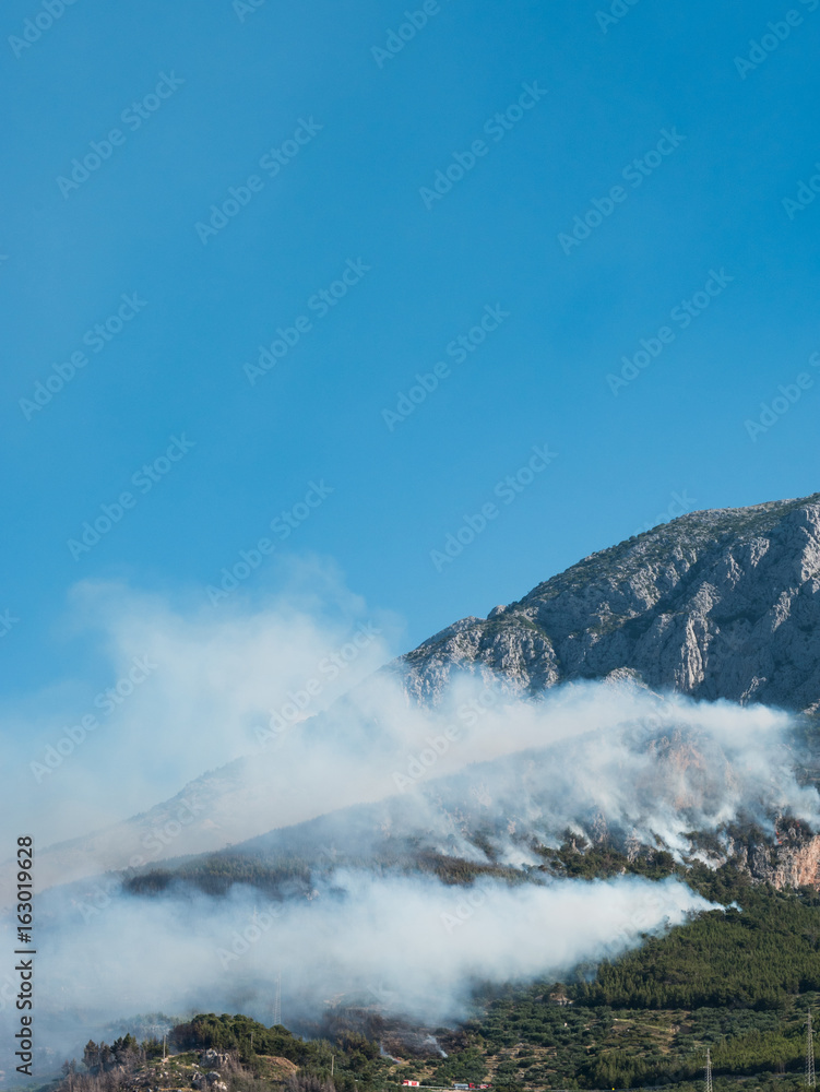 Dramatic forest fire scene in Croatia