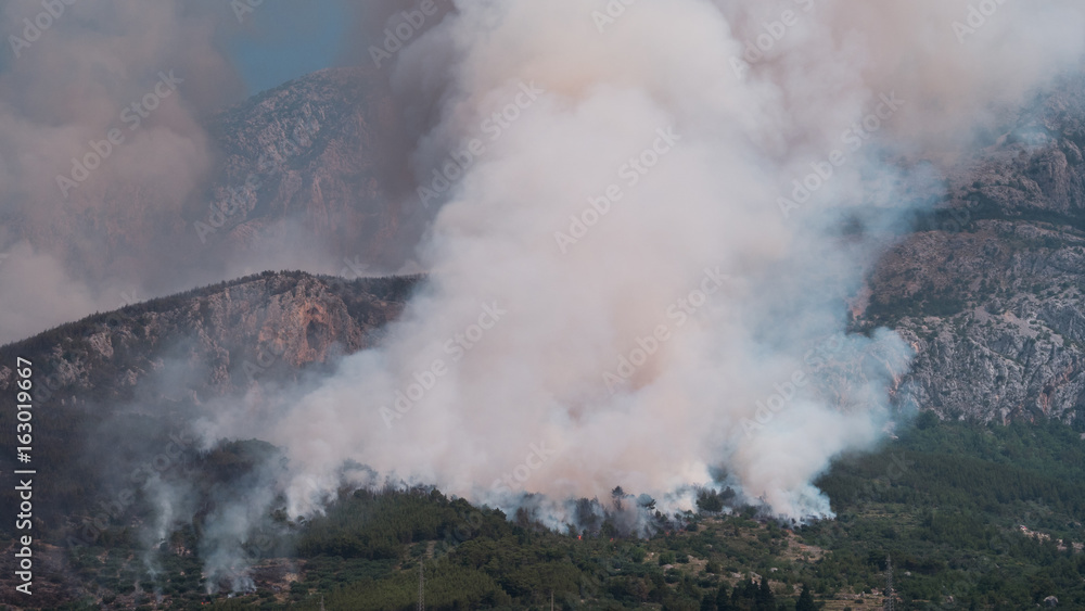 Wild forest fire burning below mountain Biokovo in Croatia Wild forest fire burning below mountain Biokovo in Croatia
