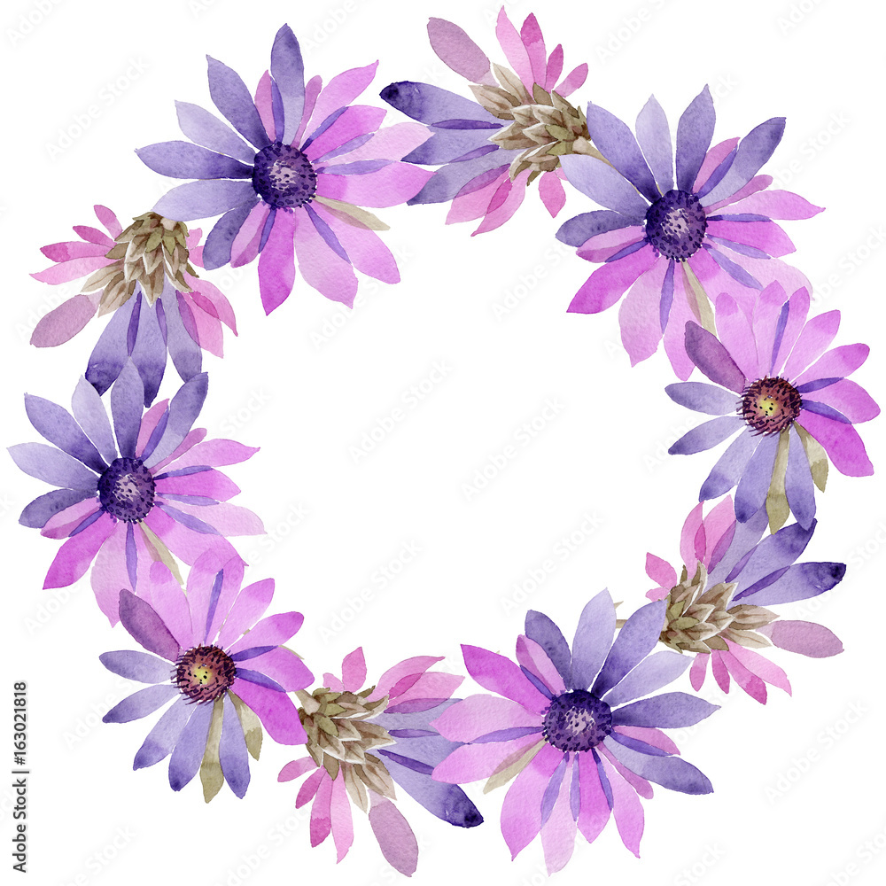 Wildflower immortelle flower wreath in a watercolor style. Full name of the plant: Immortelle. Aquarelle wild flower for background, texture, wrapper pattern, frame or border.