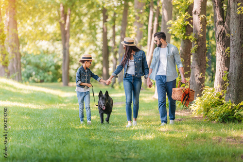 young happy interracial family with dog holding hands and walking in sunny forest © LIGHTFIELD STUDIOS