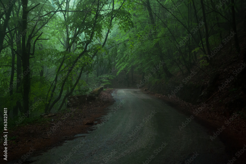 Naklejka premium Mountain road in a misty forest