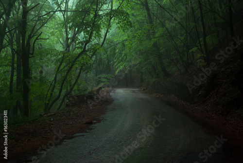 Mountain road in a misty forest