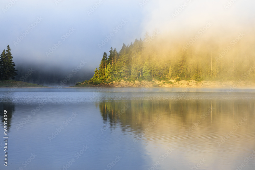 Landscape with mountain forest, fog and lake in morning Landscape with mountain forest, fog and lake in morning