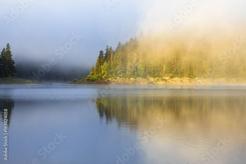 Landscape with mountain forest  fog and lake in morning