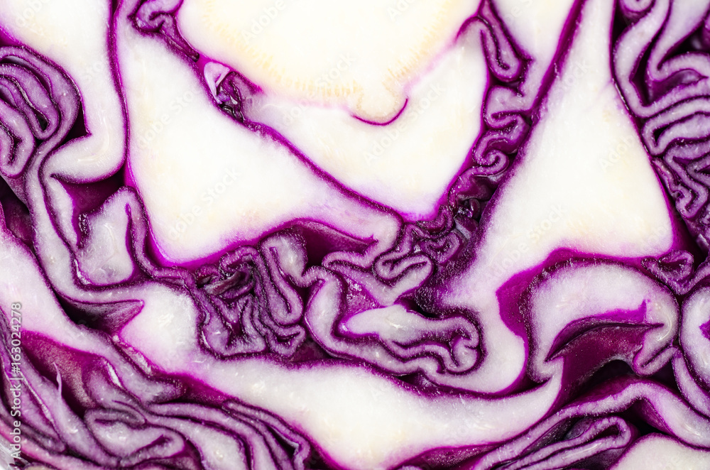 Obraz premium Section of purple cabbage texture on white background,Food ingredient,Healthy vegetable