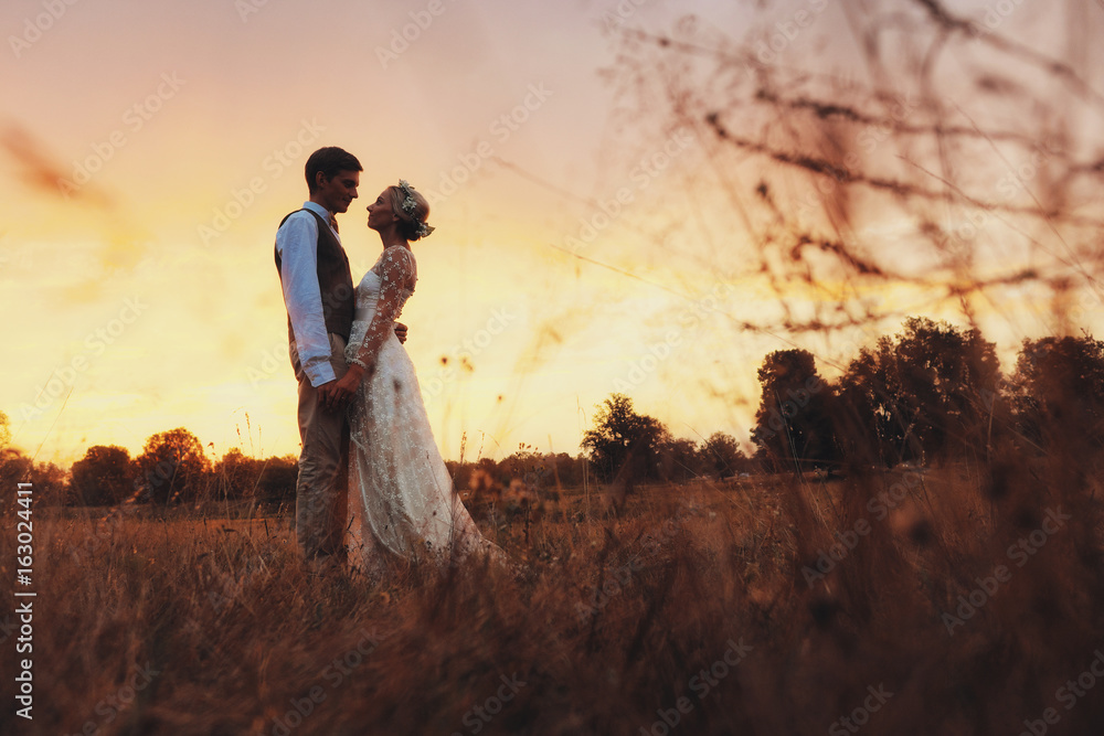 Couple in wedding attire against the backdrop of the field at sunset, the bride and groom. Couple in wedding attire against the backdrop of the field at sunset, the bride and groom.