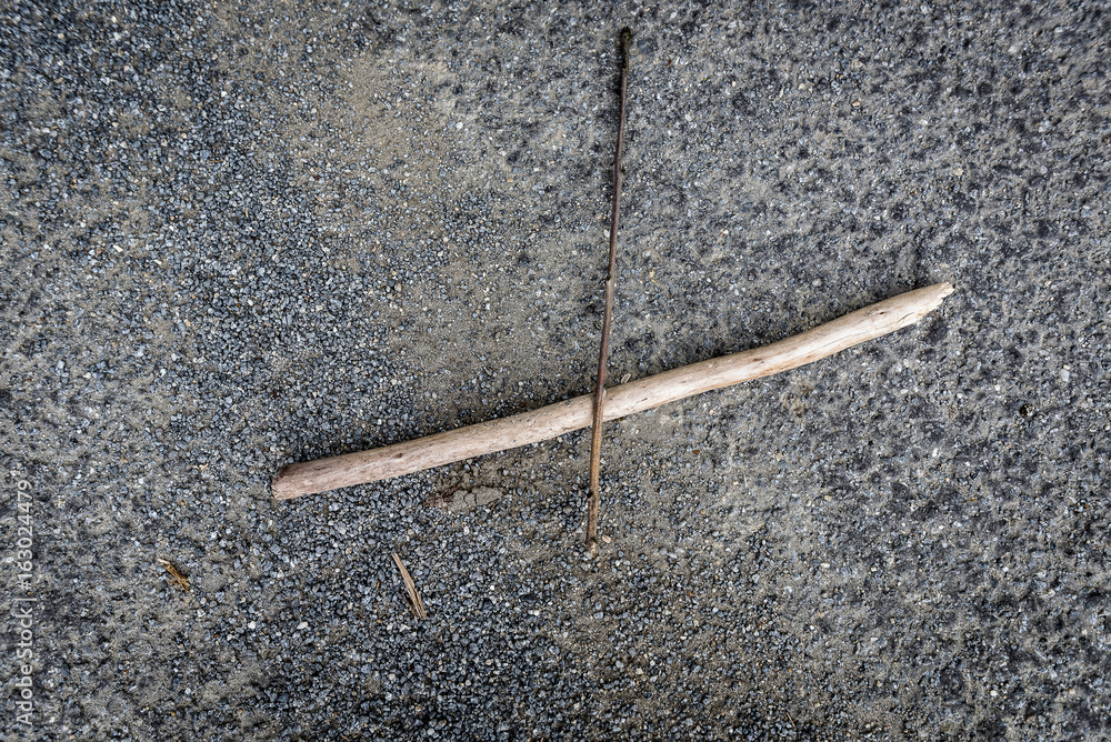 Twig and tree on the road on asphalt Twig and tree on the road on asphalt