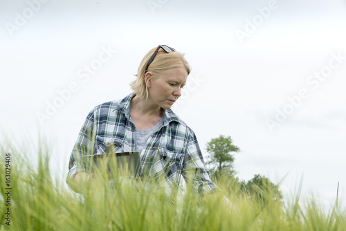 Woman Clutching a Tablet Computer Looking Down on Wheat Field