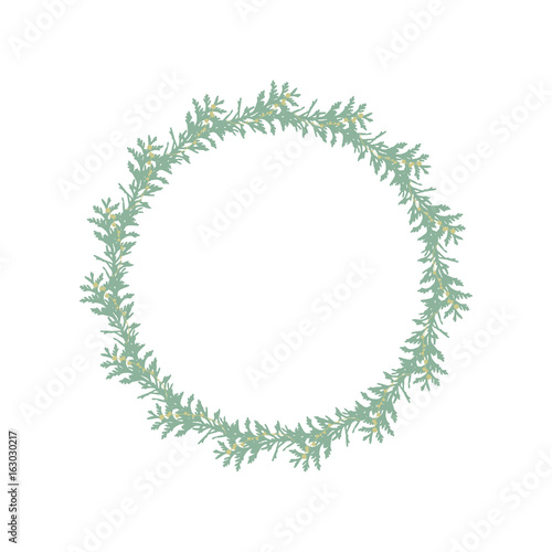 Vector botanical illustration with a wreath made of fir tree  branches and berries.