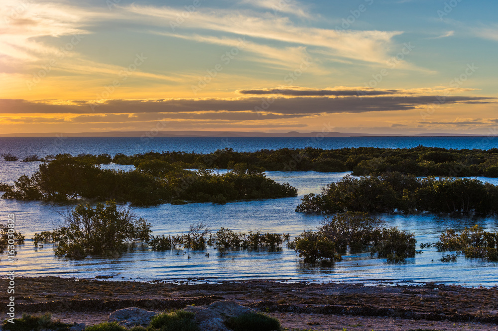 Golden sunset at Weeroona Island located in Germein Bay South Australia Golden sunset at Weeroona Island located in Germein Bay South Australia