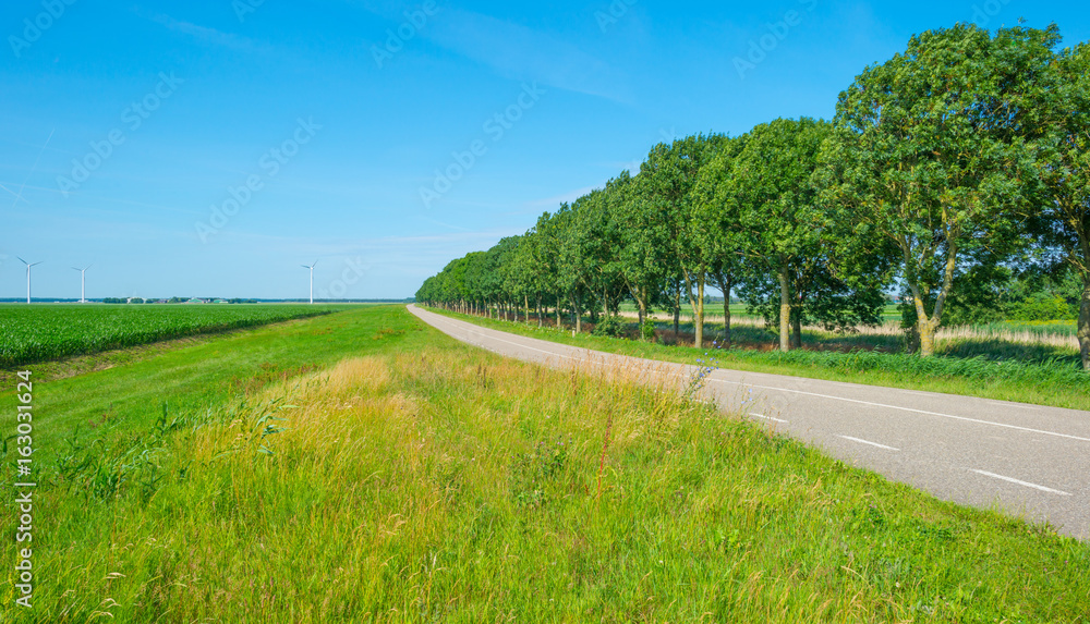 Naklejka premium Road in a rural landscape in summer