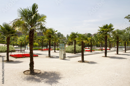 Park Juan Pablo 2, Madrid. Palm garden.