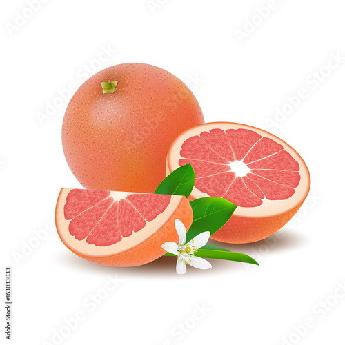 Isolated colored group of grapefruits, slice, half and whole juicy fruit with green leaf, white flower and shadow on white background. Realistic citrus.