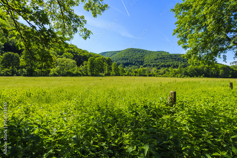 Fototapeta premium Ausblick
