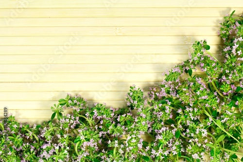 Food background of herb thyme on wooden background © Albina