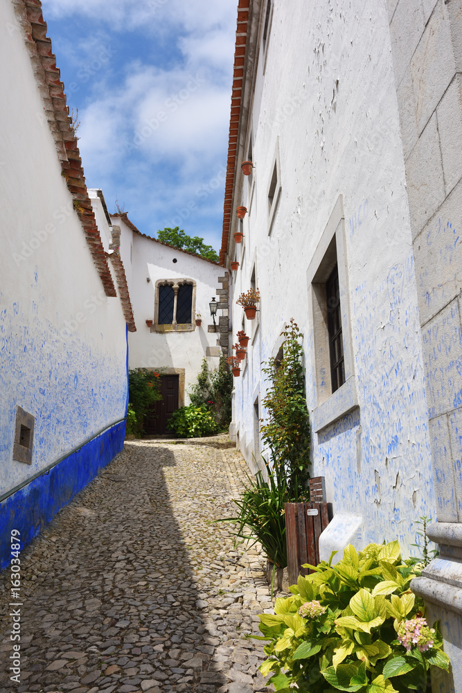 Fototapeta premium In the streets of the picturesque town of Obidos, Portugal