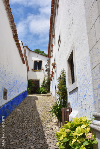 In the streets of the picturesque town of Obidos, Portugal