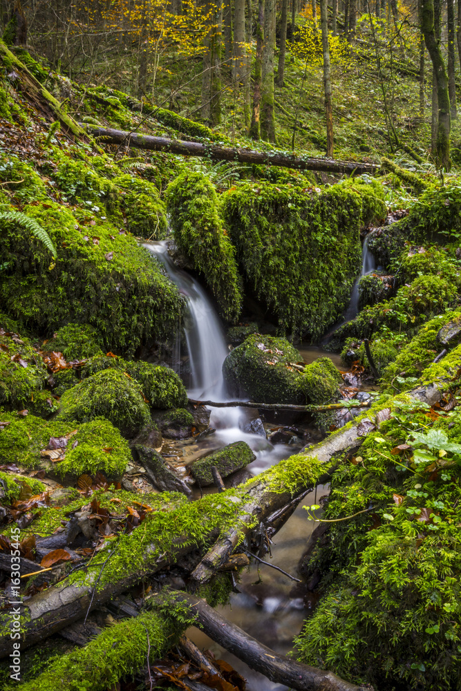 Natur, Wandern, Erleben, Urlaub, Freizeit Natur, Wandern, Erleben, Urlaub, Freizeit