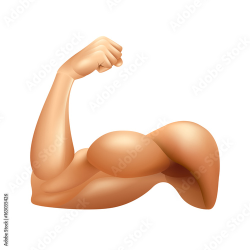 Man arm muscle isolated on white vector