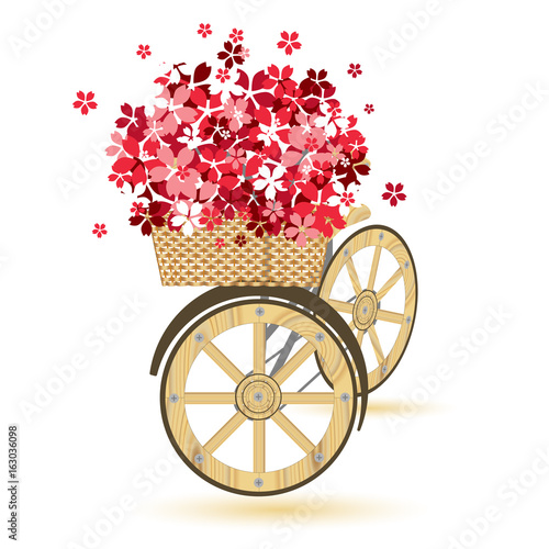 Set of retro wooden bicycle with basket winker full sakura blossom. vector illustration