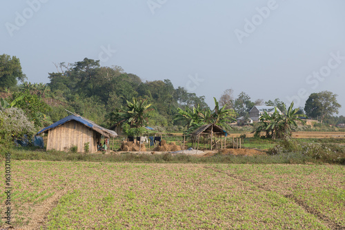 Mizoram Farm