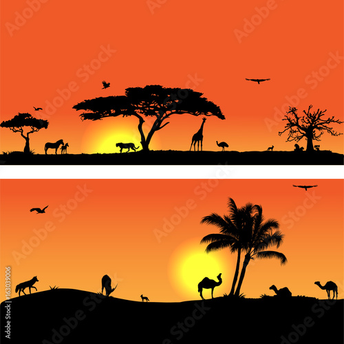 Vector banners with African fauna and flora