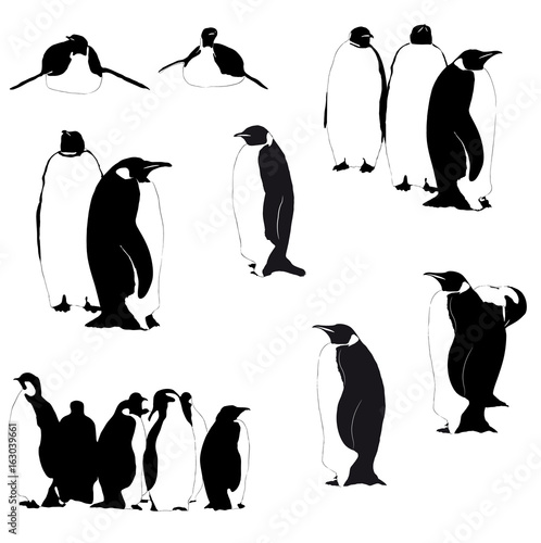 Vector penguin silhouettes on the white