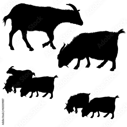 Collection of vector goat silhouettes