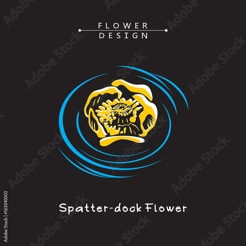 Water Lily, Spatter-dock Flowers, Nenuphar Blossom. Vector Illustration on Black Background.