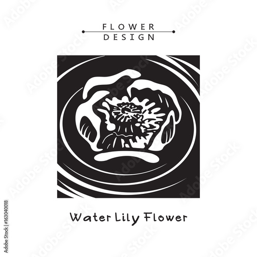 Water Lily, Spatter-dock Flowers, Nenuphar Blossom. Vector Illustration.